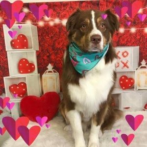 Meet your Posher, Jacqueline-greg